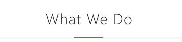 what we do